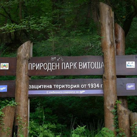 Pinus Villas Lodge With Private Jacuzzi & Phyto-Sauna Retreat Zheleznitsa Экстерьер фото