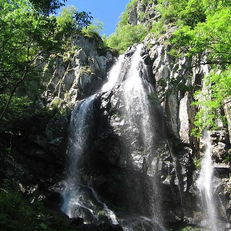 Pinus Villas Lodge With Private Jacuzzi & Phyto-Sauna Retreat Zheleznitsa Экстерьер фото