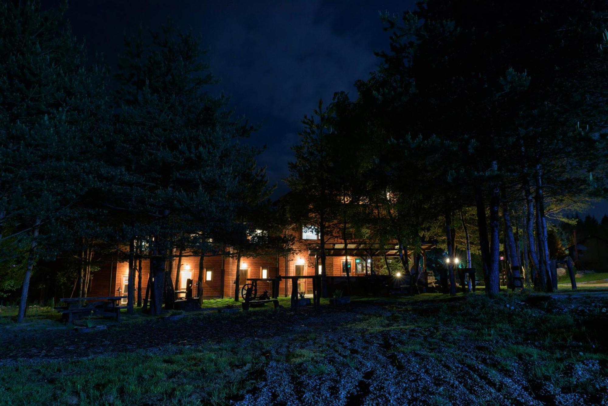 Pinus Villas Lodge With Private Jacuzzi & Phyto-Sauna Retreat Zheleznitsa Экстерьер фото