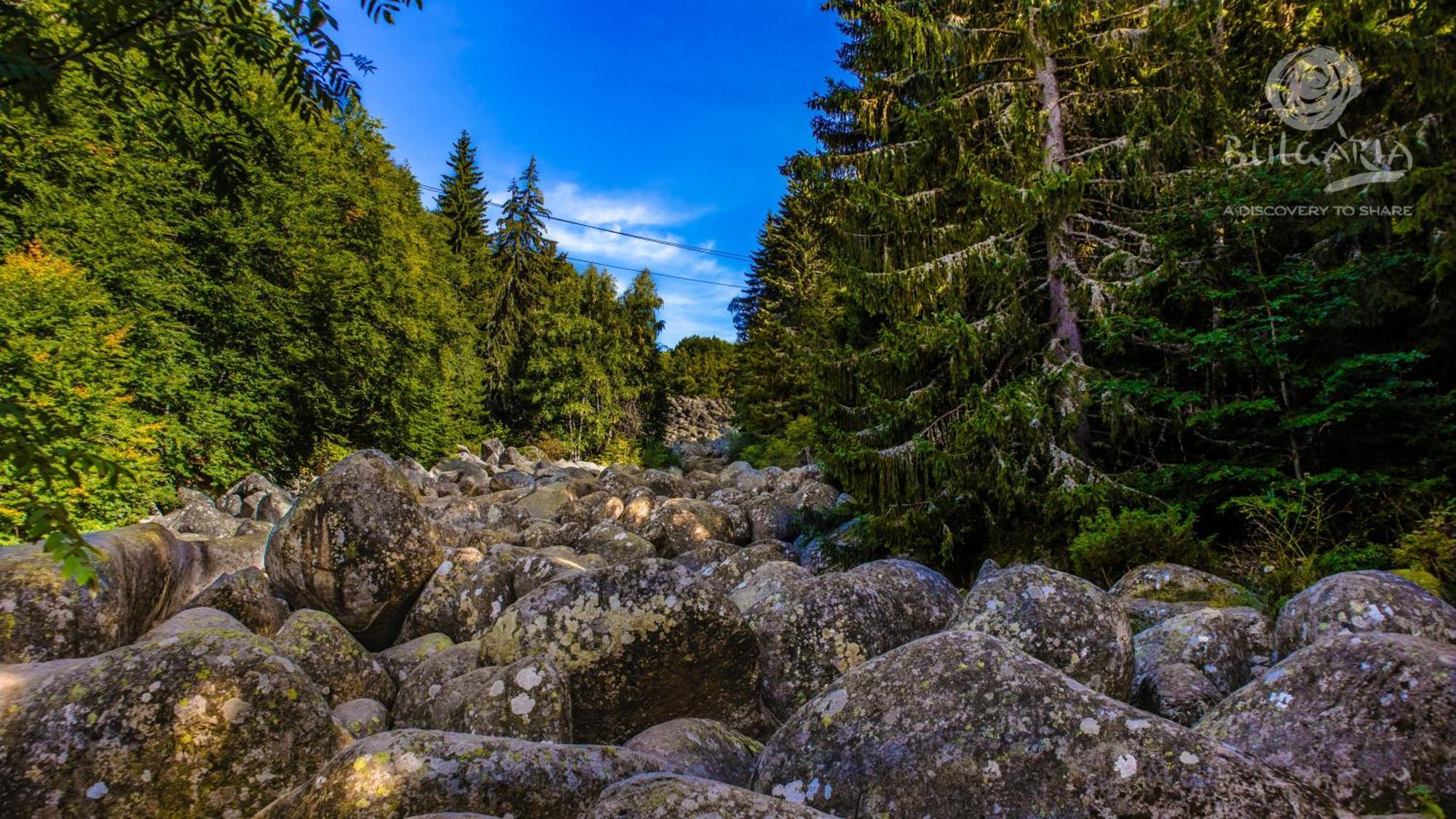 Pinus Villas Lodge With Private Jacuzzi & Phyto-Sauna Retreat Zheleznitsa Экстерьер фото