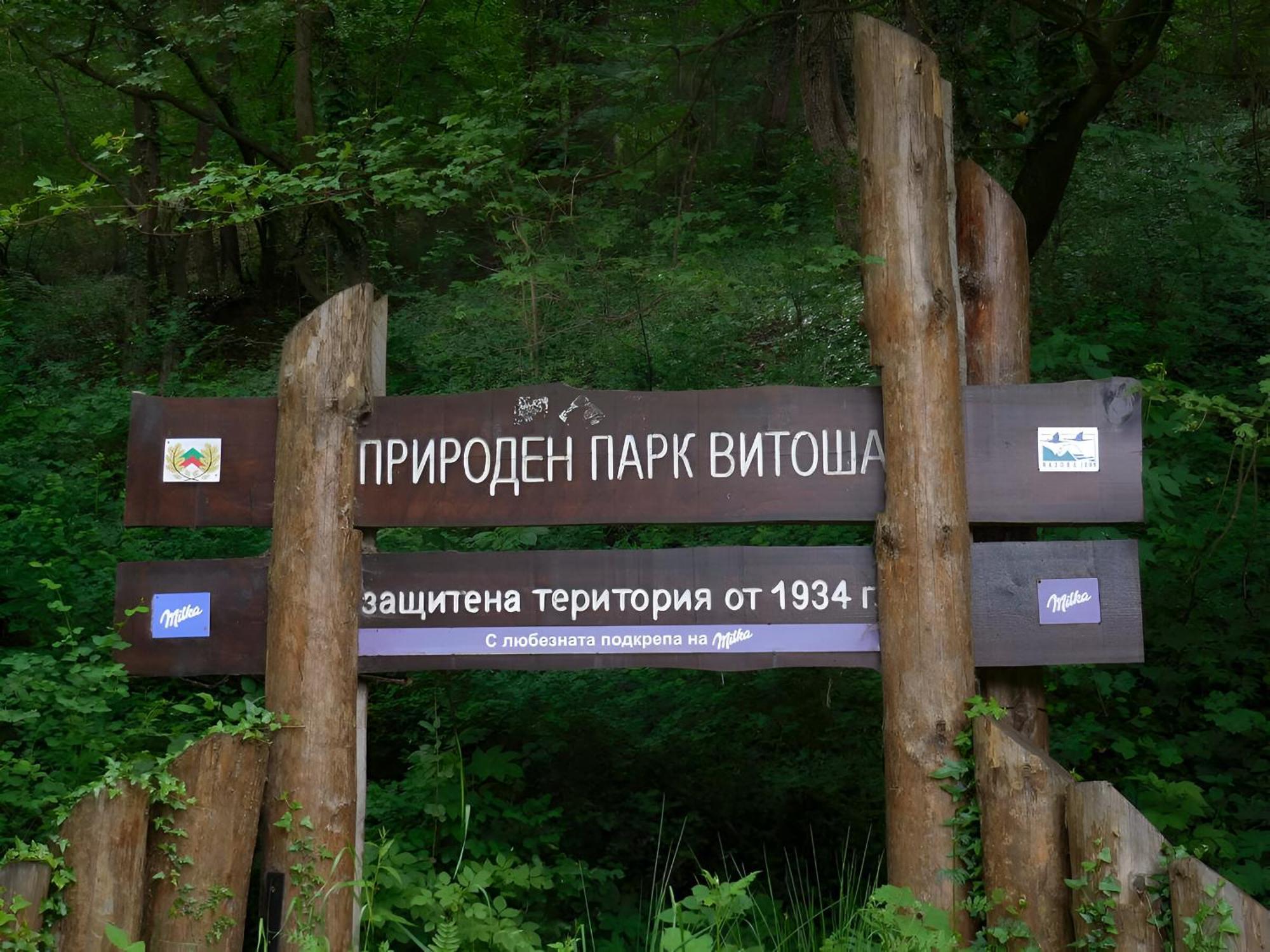 Pinus Villas Lodge With Private Jacuzzi & Phyto-Sauna Retreat Zheleznitsa Экстерьер фото